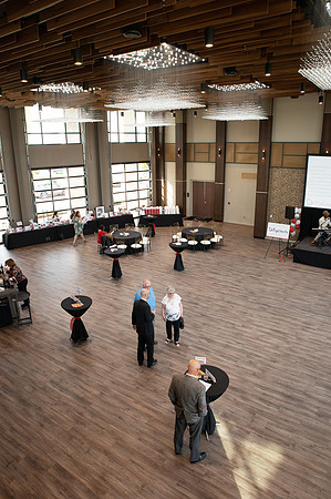 Big Hearts Gala-57