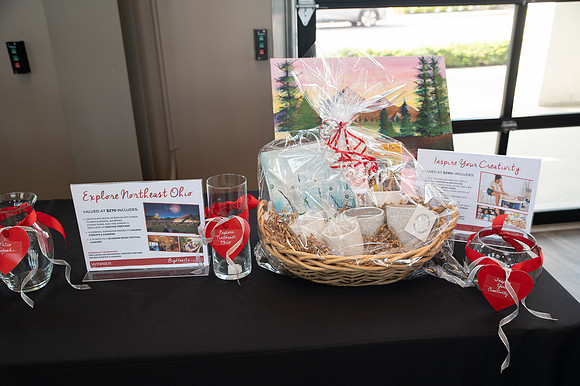 Big Hearts Gala-24