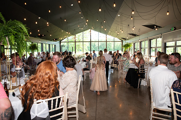 Reception-11